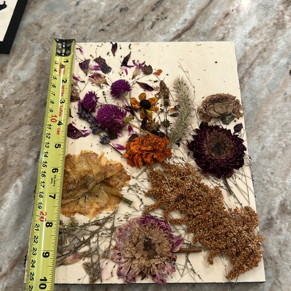 Pressed Flower Wall Art - Picture 8 of 9